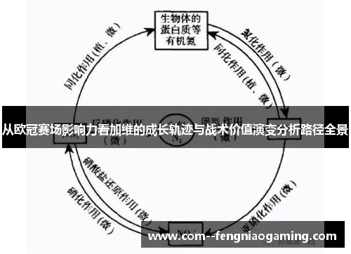 从欧冠赛场影响力看加维的成长轨迹与战术价值演变分析路径全景 从欧冠赛场影响力看加维的成长轨迹与战术价值演变分析路径全景