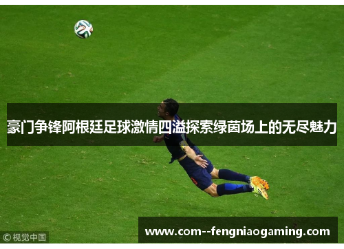 豪门争锋阿根廷足球激情四溢探索绿茵场上的无尽魅力