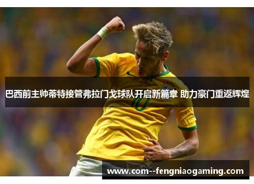 巴西前主帅蒂特接管弗拉门戈球队开启新篇章 助力豪门重返辉煌