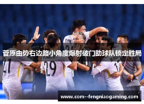 菅原由势右边路小角度爆射破门助球队锁定胜局