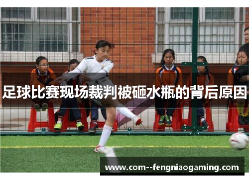 足球比赛现场裁判被砸水瓶的背后原因