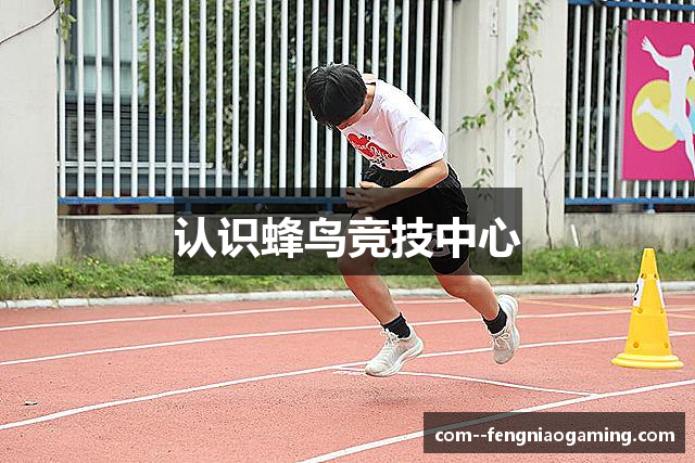 蜂鸟电竞首页 | 电竞游戏世界入口，竞技从这里开始